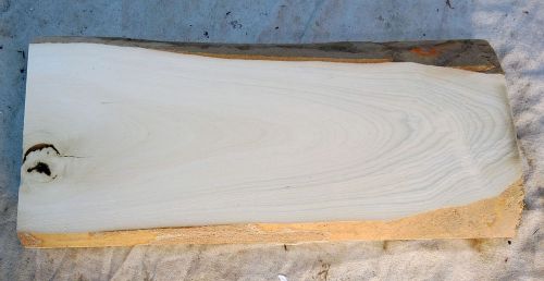 Holly American lumber white wood