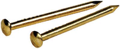 Hillman fastener corp 122627 escutcheon pins-5/8x18 br escutcheon pin for sale