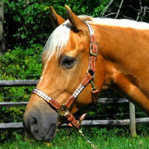 Highland 127010BG Halter with Leather Accents - Beige Horse