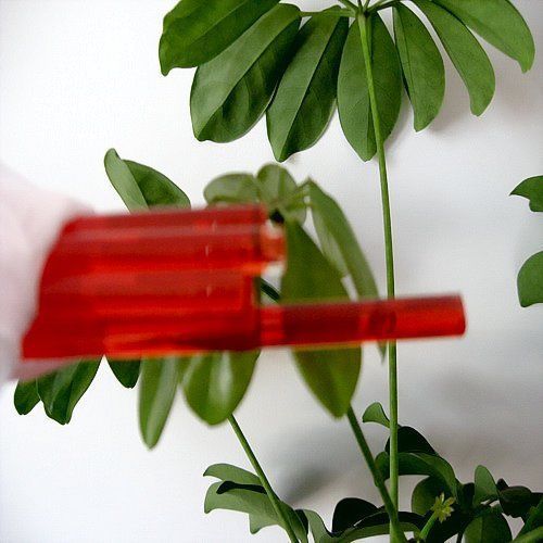 1kg(2.2 lb Fusing Rods Bars,Glass Blowing Color Material,96 COE,Clear Red #N7D