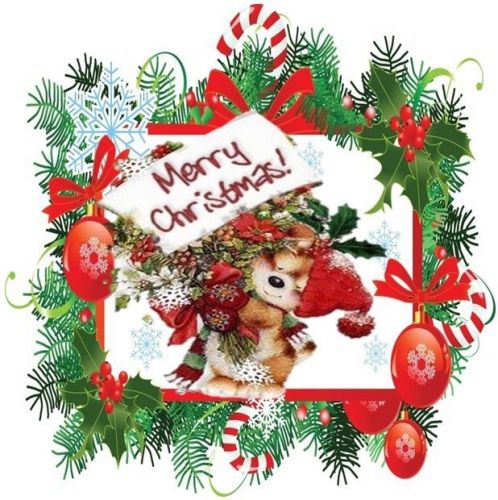 30 Personalized Christmas Animals Return Address Labels Gift Favor Tags (xa1)