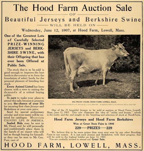 1907 Ad Hood Farm Auction Jersey Cows Berkshire Swine - ORIGINAL ADVERTISING CL8