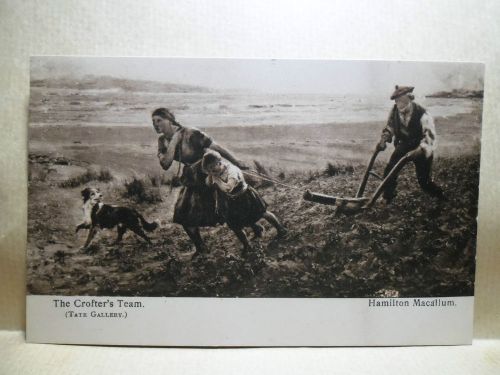 THE CROFTERS TEAM, OLD FARMING POSTCARD