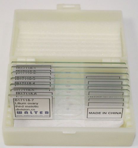 Microbiology/genetics prepared  5 slide set chromosome for sale