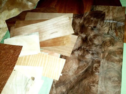 Huge 50 leaf variety pack of wood veneer, walnut burl, carpathian elm + more for sale