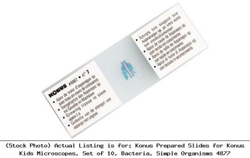 Konus prepared slides for konus kids microscopes, set of 10, bacteria, : 4877 for sale