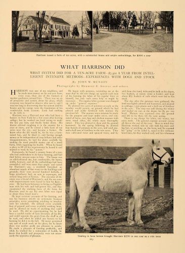 1907 article harrison&#039;s farm dogs stock john w. munson - original cl5 for sale