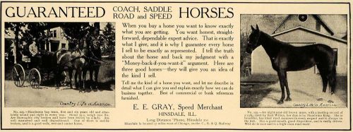 1906 Ad E E Gray Speed Merchant Coach Saddle Road Horse - ORIGINAL CL9