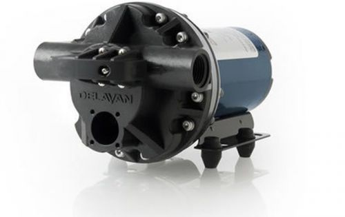 Delavan 5850-201E PowerFLO Diaphragm Demand Pump