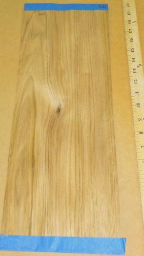 Chestnut or Elm wood veneer 7&#034; x 20&#034; with no backing (unbacked raw veneer) 1/42&#034;