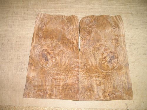 English Brown Oak Burl Veneer. 7 x 14, 24 Sheets.