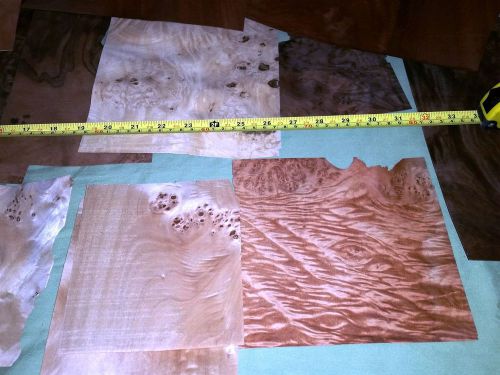 25 leaf mixed pack of stunning wood veneer. great craft pack! for sale