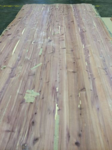 Wood Veneer Aromatic Cedar 48x98 1pc total 10mil paper backed &#034;EXOTIC&#034; 516.2