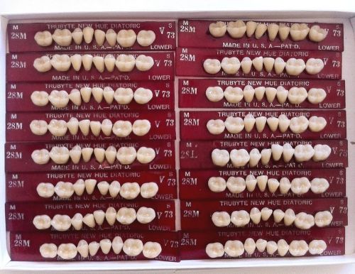 Dentsply New Hue Dentist Dental Lab Porcelain Denture Teeth - 28M  L  73