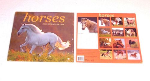 2015 SIXTEEN (16) MONTH CALENDAR:  HORSES (WHITE ON COVER) - FULL COLOR