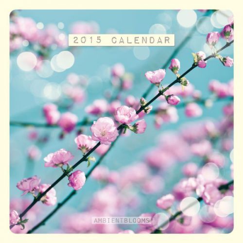 AMBIENT BLOOMS FAMILY CALENDAR SQUARE 2015 C14057