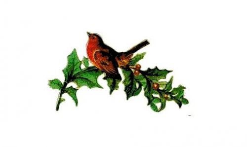 30 Personalized Return Address Labels Christmas Birds Buy 3 get 1 free (zz3)