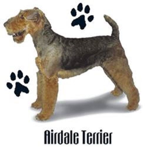 Airedale Dog HEAT PRESS TRANSFER for T Shirt Tote Sweatshirt Quilt Fabric 801a