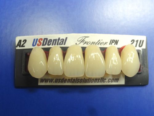 denture teeth/false teeth