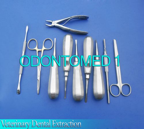Veterinary Dental Extraction Instruments Kit Forceps