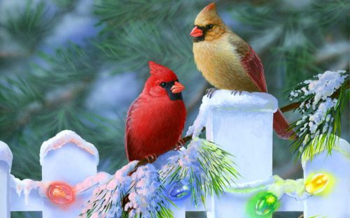 30 Personalized Return Address Labels Christmas Birds Buy 3 get 1 free (zz11)