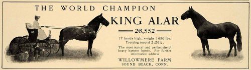 1906 Ad World Champ Horse Willowmere Farm Sound Beach - ORIGINAL ADVERTISING CL9