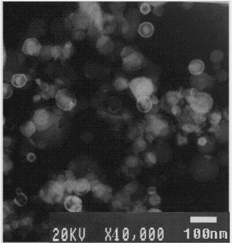 100g (3.52 oz) 99.9% Nanometer Nano Meter 60nm Tin Sn Powder #U3R