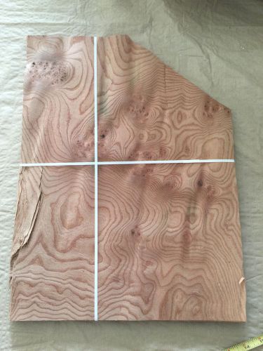 Wood Veneer Elm Burl 12x12  23Pcs Total Raw Veneer #12
