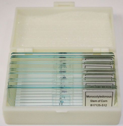 Water life prepared slide set, 12 glass microscope slides for sale