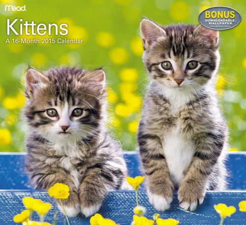 2015 16-Month KITTENS Wall Calendar NEW SEALED Cute Cats Animals