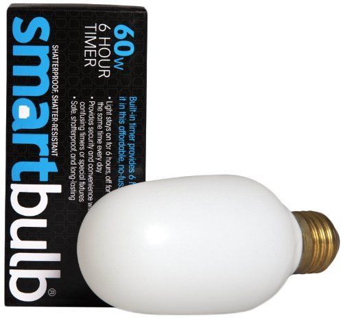 Smart Electric 260 6-Hour Cycle Timer 60-Watt Incandescent Smart Guardian Bulb w