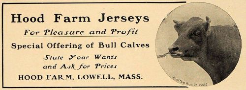 1907 ad hood farm jersey cows bull lowell massachusetts - original cl9 for sale