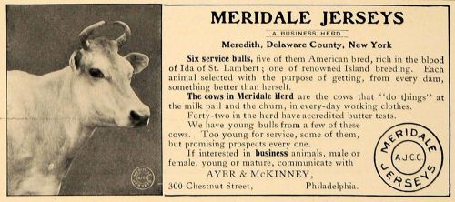 1906 Ad Meridale Jersey Cow Ayer McKinney Bull Breeders - ORIGINAL CL9