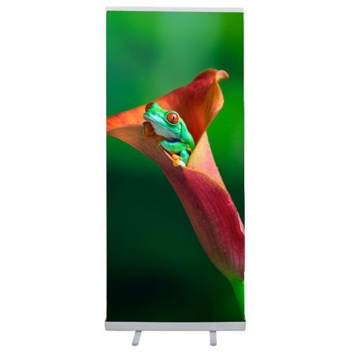 Economy 34&#034; Retractable Banner Stand