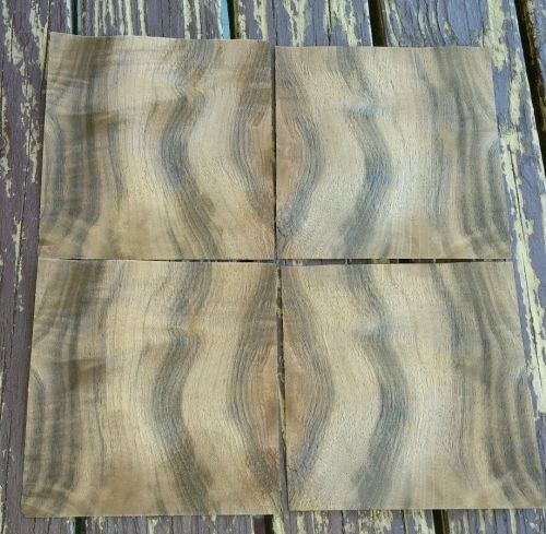 4 buckled consec. pieces of raw Oregon Myrtlewood burl veneer 5.2&#034; x 5.2&#034; wood