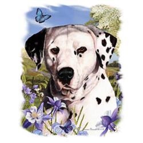 Dalmation Dog Floral HEAT PRESS TRANSFER for T Shirt Sweatshirt Tote Fabric 838b