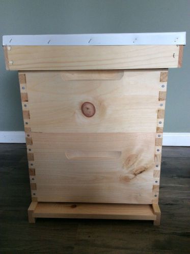 Honey bee hive kit- 2 deep brood boxes with plastic frames for sale