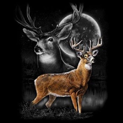 Deer Wilderness HEAT PRESS TRANSFER for T Shirt Tote Bag Sweatshirt Fabric 234h