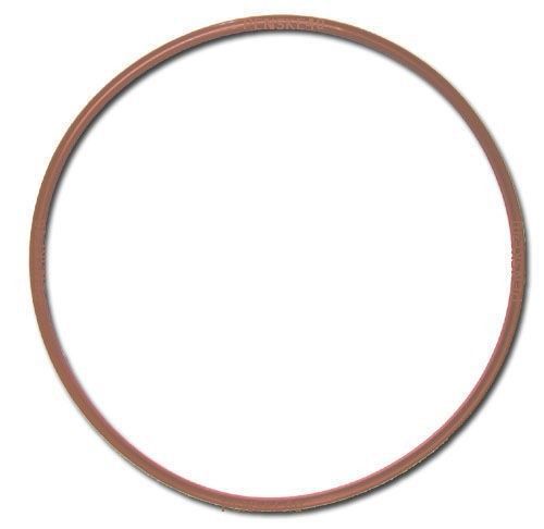Chemiclave 6000/8000 aquaclave 30 door seal gasket quad for sale