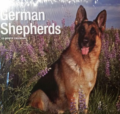 18-Month 2015 GERMAN SHEPHERDS 12x12 Wall Calendar NEW Dogs Cute Animals