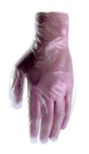 Wells Lamont 155 5-Mil Non-Latex Vinyl Glove  Large  50-Glove