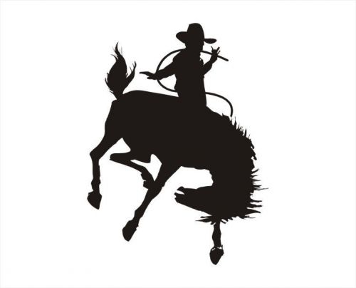 2X &#034;Training a Horse&#034; Funny Car Vinyl Sticker Decal Gift Removable - 344 B