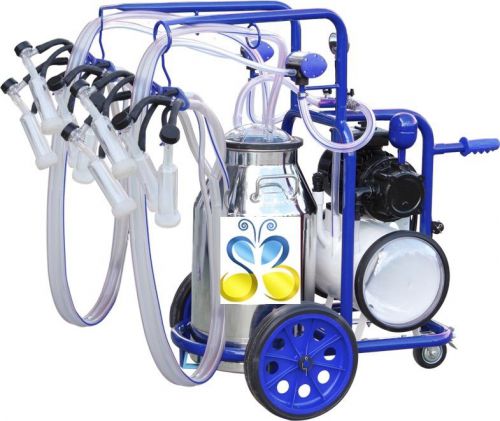 Stainless steel milking machine 10.5 gal for goats 120v 4x milking  +free extras for sale