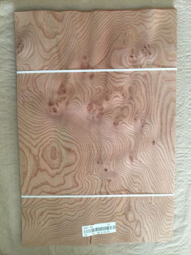 Wood Veneer Elm Burl 13x30  23Pcs Total Raw Veneer #10