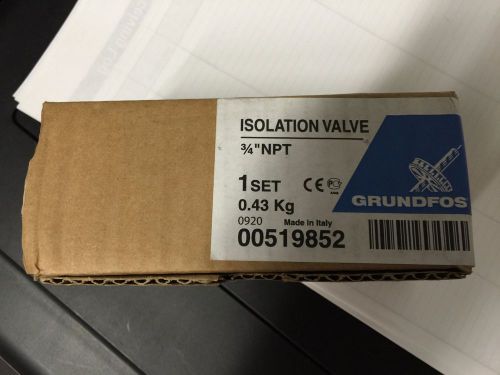 Grundfos ISOLATION VALVE  519852 3/4&#034; Bronze Isolation Valve Set NEW
