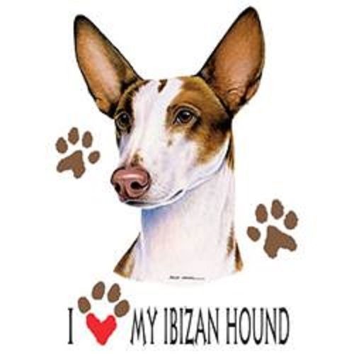 I Love My Ibizan Hound Dog HEAT PRESS TRANSFER for T Shirt Sweatshirt Fabric 861