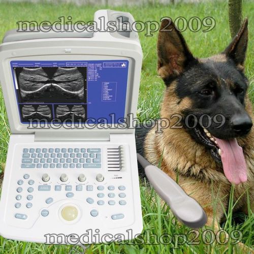 Veterinary vet b ultrasonic portable digital ultrasound scanner&amp;5.0m micro probe for sale