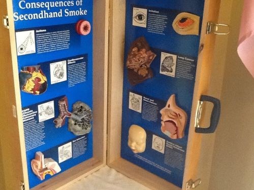Health Edco Consequences of secondhand smoke Educational Display in Briefcase