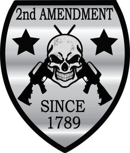 2nd Amendment Car Decal / Label / Window Bumper Sticker 5&#034; AR-15 Gun Rights USA