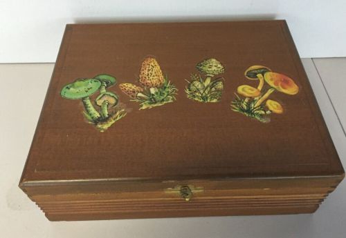 Wooden Box Painted With Morel Mushrooms and Varios Other Mushrooms